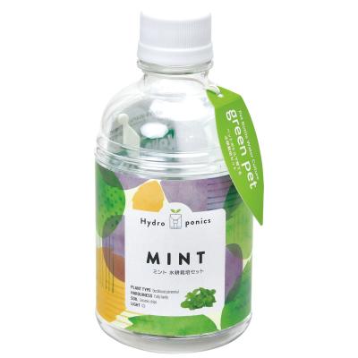 グリーンペット１個（ミント）