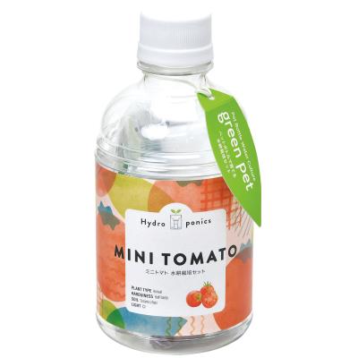 グリーンペット１個（ミニトマト）