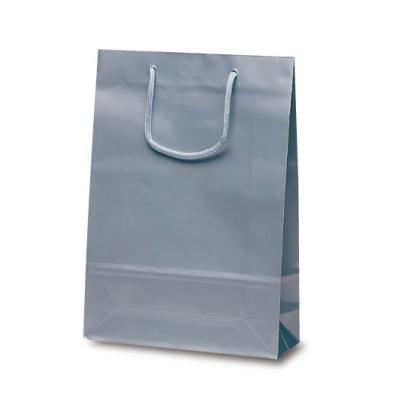 ナイスバッグ（シルバー）