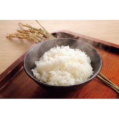 新潟県魚沼産こしひかり
