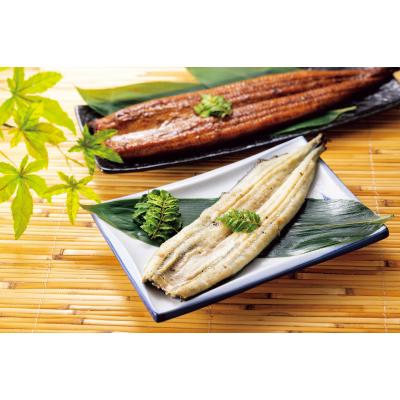 浜松・浜名湖うなぎ贅沢盛り