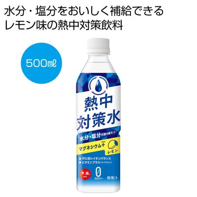 天塩使用　熱中対策水　レモン500ml
