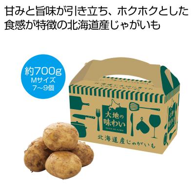 大地の味わい　北海道産じゃがいも７００ｇ